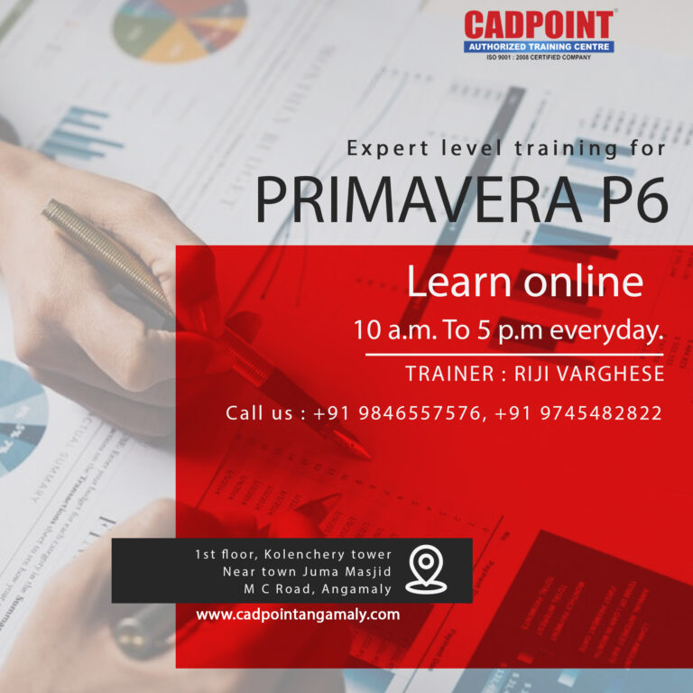 Primavera p6 online training